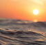 Фото: pixabay.com - Sochi.Com