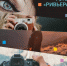 18 сентября в парке «Ривьера» состоится крупнейшее фотографическое мероприятие города - сочинский фестиваль фотографии - Управление культуры