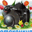 Фотоконкурс "Удачный кадр — уДачный сезон 2021 год" - итоги - PrivetSochi.Ru