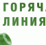 Пострадавшие от стихии жители Сочи могут обратиться за помощью по горячей линии - Народная газета Сочи