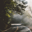 Фото: pixabay.com - Sochi.Com
