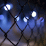 Фото: pixabay.com - Sochi.Com