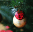 Фото: pixabay.com - Sochi.Com