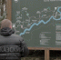 10 декабря Тисо-самшитовая роща будет закрыта для посещения - Заповедник им. Х.Г. Шапошникова