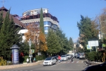 Певцы улицы