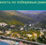 Сочинцы! Вы ещё верите в эти байки? - PrivetSochi.Ru