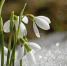 Фото: pixabay.com - Sochi.Com