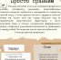 Кубанский чайка-менеджмент против федерального уровня, на доступных примерах. - PrivetSochi.Ru