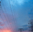 Фото: pixabay.com - Sochi.Com