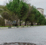 В 2022 году в Сочи начнется модернизация системы водоотведения микрорайона Мамайка - Администрация г. Сочи