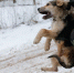 Фото: tass.ru - Sochi.Com