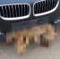 В Краснодаре в бампере BMW нашли мертвую лису - SochiStream.Ru