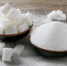 Фото: pixabay.com - Sochi.Com