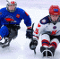 «Сириус» примет Всероссийский фестиваль адаптивного хоккея - Sochi.Com