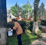 В Год экологии во всех районах Сочи активно ведутся работы по содержанию и наведению санитарного порядка - Sochi.Com
