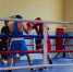 Сочинская сборная по боксу примет участие в чемпионате Краснодарского края - Администрация г. Сочи