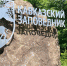 В Сочи ко Дню эколога пройдут квесты и мастер-классы - Народная газета Сочи