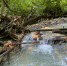 Фото: npsochi.ru - Sochi.Com