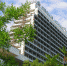 sanatoriy_belye_nochi_1 - SochiNews.io