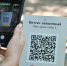 Деревьям-патриархам Сочи начали присваивать QR-коды - Народная газета Сочи