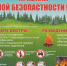 БЕРЕГИТЕ ЛЕС ОТ ПОЖАРА - СГУ