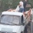 В Сочи поймали водителя свалившего мусор рядом с домами - Народная газета Сочи