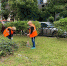 За первую неделю «Месячника чистоты» в Сочи в работах приняли участие более 1500 человек - Sochi.Com