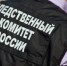 В Сочи СК рассказал подробности трагедии с гибелью 4-летней девочки после нападения собак - SochiNews.io
