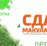 «Сдай макулатуру – спаси дерево»: сочинцы смогут помочь природе - Народная газета Сочи
