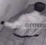 Жителям Кубани посоветовали закрывать двери на замок - SochiStream.Ru