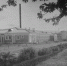 Совхоз Главкурортторга. 1953 год. - PrivetSochi.Ru