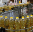 В 2022 году Кубань увеличила экспорт масложировой продукции на 48% - SochiStream.Ru