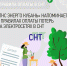 Сочинцам напомнили о правилах оплаты потерь на электросетях в СНТ - Sochi.Com