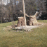ГОЛОС СТАРОГО СОЧИ - PrivetSochi.Ru