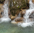 Фото: npsochi.ru - Sochi.Com