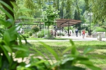 В Год архитектуры в городе будет создан новый экскурсионный маршрут «Ротонды и колонны Сочи»