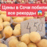 Цены на фрукты в сочинской Красной Поляне удивили россиян - SochiStream.Ru