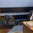 В Сочи окровавленный мужчина с ножом сидел на ограждении окна - SochiStream.Ru