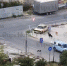В Краснодаре собаки напали на мальчика-школьника - SochiStream.Ru