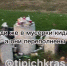 В Краснодаре бульвар Петра Метальникова утонул в мусоре - SochiStream.Ru