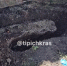 На Кубани женщина закопала тело умершего мужа во дворе на глазах у детей - SochiStream.Ru