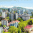 Фото: Администрация города Сочи - Sochi.Com