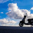Фото: pixabay.com - Sochi.Com