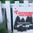 В Сочи провели мониторинг по выявлению незаконных елочных базаров - Администрация г. Сочи