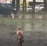 В Краснодаре Робинзон-мефедрон попал на фото - SochiStream.Ru