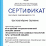 Участие во II Зимней Социологической онлайн-школе МГУ имени М.В. Ломоносова - СГУ