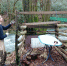 Итоги недели - Сочинский национальный парк