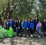 В городском субботнике в Сочи приняли участие свыше 4,6 тысячи человек - Администрация г. Сочи