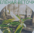 Преподаватель Детской школы искусств №7 города Сочи, Котлубовская Полина Викторовна, приняла участие в художественной выставке «Зелёная веточка» - Управление культуры