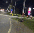 В ДТП в Краснодарском крае погиб 40-летний мотоциклист - SochiStream.Ru